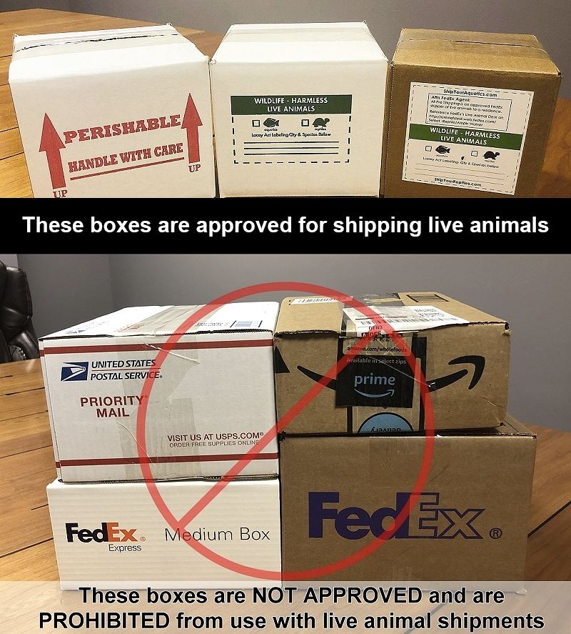 Shipping box standards.png
